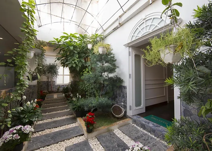 Oasis